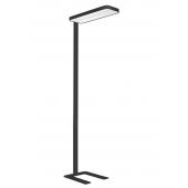  SMARTBALANCE LAMPADAIRE GEN2 F 