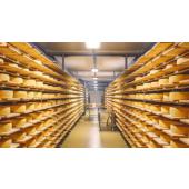  GentleSpace gen4 Petit mod�le 