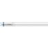  MASTER TUBE LED EM OU 230V G13 