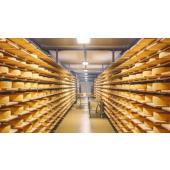  GentleSpace gen4 Interact read 