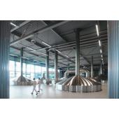  Pacific LED gen5 ATEX WT492C 6 