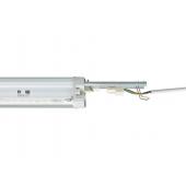 PACIFIC LED GEN5 CLASSE II WT4 