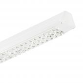  MAXOS LED HE SUR RAIL TLD 4MX8 