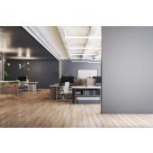  MASTER tube LED EM ou 230V G13 