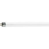  TL MINI 13W/33-640 -  EMBALLAG 