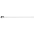  TL MINI 13W/33-640 -  EMBALLAG 