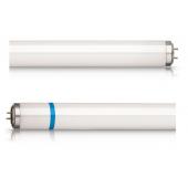  ACTINIC BL TL-D 18W/10 SECURA 