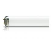  ACTINIC BL TL-DK 36W/10 1SL/25 