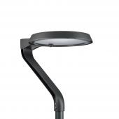  TOWNTUNE LYRE BDP270 LED79-4S/ 
