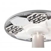  TownGuide Modle T (Performanc 