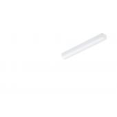  CORELINE REGLETTE LED BN126C L 