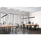  TrueLine Suspension SP530P LED 