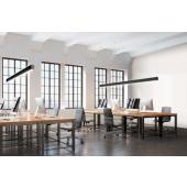  TrueLine Suspension SP531P LED 