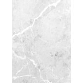  Panneau mural NU VIPANEL ARAGO 