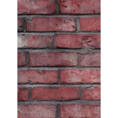  Panneau mural VIPANEL PIERRE B 