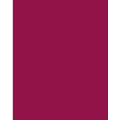  Panneau mural VIPANEL COULEUR 