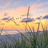  Panneau mural VIPANEL KIDS BOR 