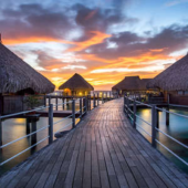  Panneau mural VIPANEL PAYSAGE 