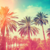  Panneau mural NU VIPANEL INSPI 