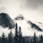  Panneau mural NU VIPANEL INSPI 