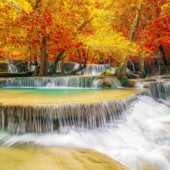  Panneau mural NU VIPANEL INSPI 