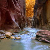  Panneau mural VIPANEL INSPIRAT 