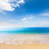  Panneau mural NU VIPANEL INSPI 