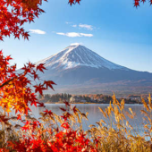  Panneau mural NU VIPANEL INSPI 