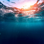  Panneau mural VIPANEL INSPIRAT 