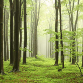  Panneau mural NU VIPANEL INSPI 