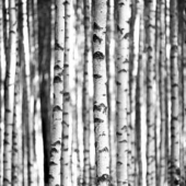  Panneau mural NU VIPANEL INSPI 