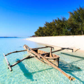  Panneau mural NU VIPANEL INSPI 