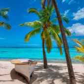  Panneau mural NU VIPANEL INSPI 