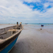  Panneau mural NU VIPANEL INSPI 