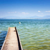  Panneau mural NU VIPANEL INSPI 