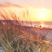  Panneau mural NU VIPANEL INSPI 