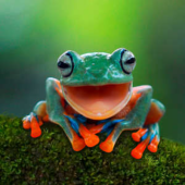  Panneau mural NU VIPANEL INSPI 