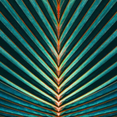  Panneau mural NU VIPANEL INSPI 