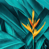  Panneau mural VIPANEL INSPIRAT 