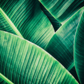  Panneau mural VIPANEL INSPIRAT 