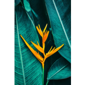  Panneau mural VIPANEL INSPIRAT 