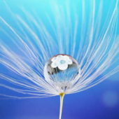  Panneau mural NU VIPANEL INSPI 