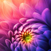  Panneau mural douche NU VIPANE 