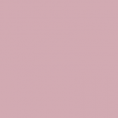  Panneau mural NU VIPANEL COULE 