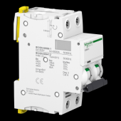  Acti9 iC60N - Disjoncteur - 2P 