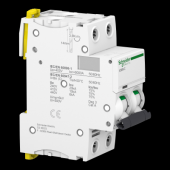  Acti9 iC60N - Disjoncteur - 2P 