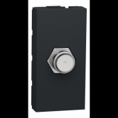  Unica - prise tlvision - TV 