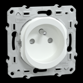  Ovalis - Lot de 108 2P+T  pui 