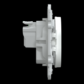  Ovalis - Lot de 108 2P+T  pui 