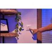  Ovalis - Plaque de finition - 